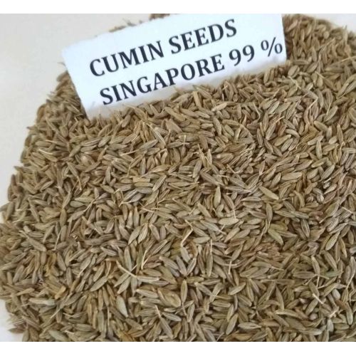 Singapore Cumin Seed