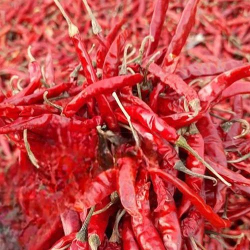 Teja S17 Dry Red Chilli