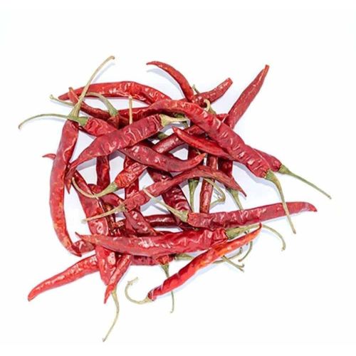 Teza S17 Fatki Red Chilli