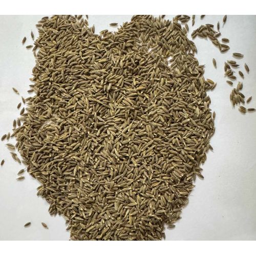 Whole Caraway Seed