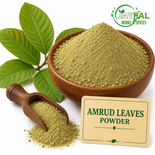 Guava Leaves Powder