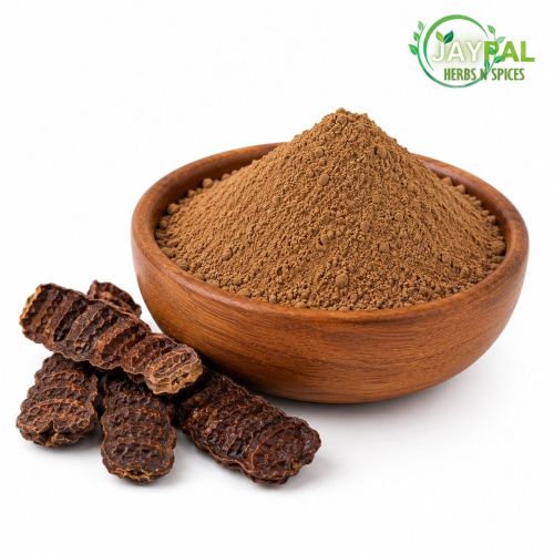 Shikakai Powder