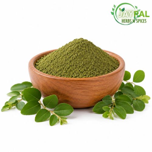 Sidr Leaves Powder