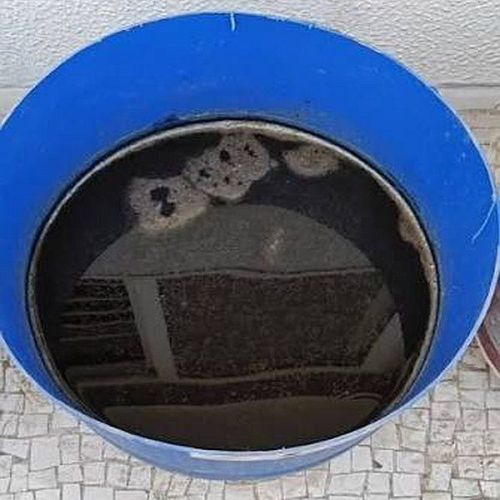Organic Cow Manure Liquid Fertilizer