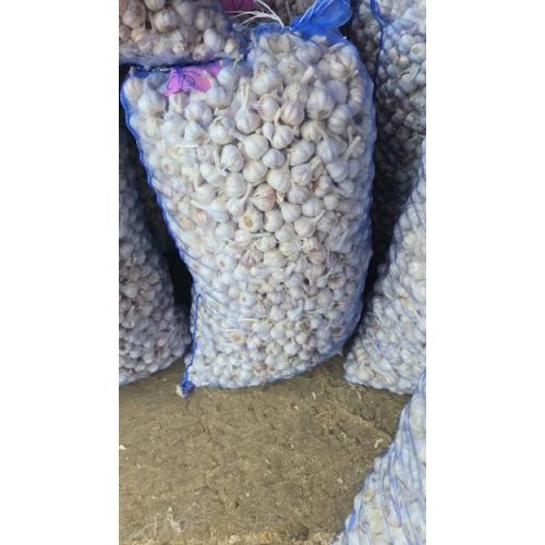 Natural Fresh Garlics