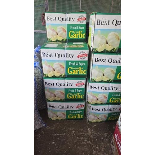 Regular White Fresh Garlic