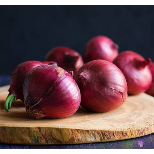 70mm Fresh Red Onion