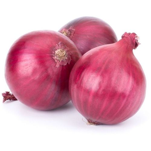 Fresh Red Onion