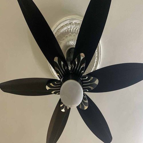 Celing Fans
