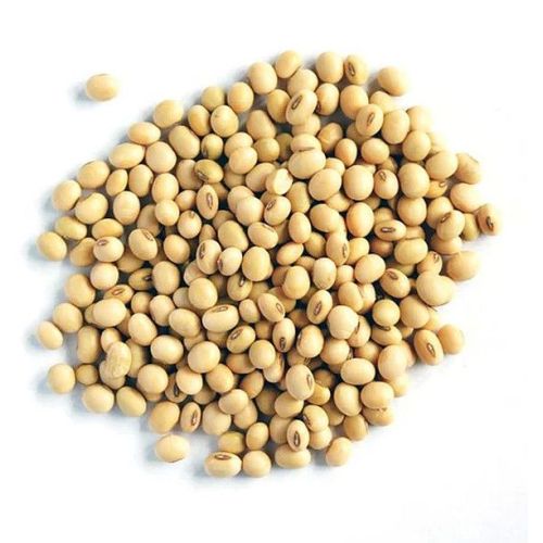 Fresh Soybean Seed