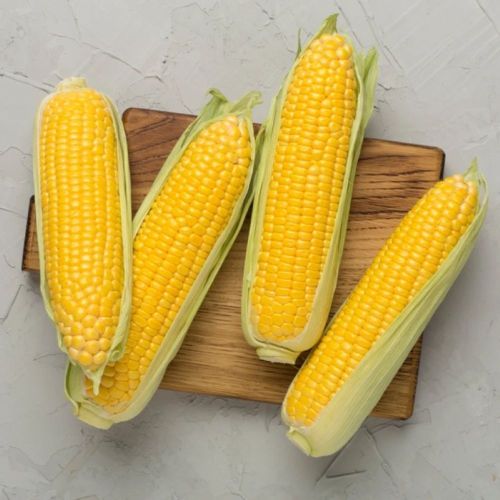 Fresh Vegetables