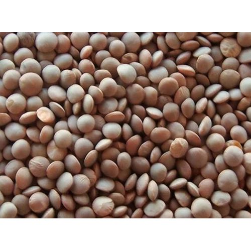 Whole Masoor Dal with Skin