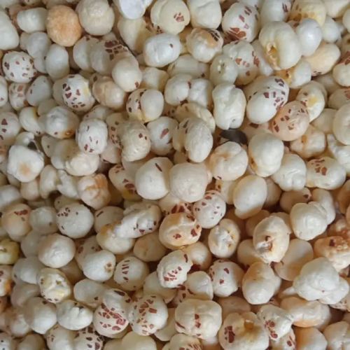 5 Suta Raw Makhana