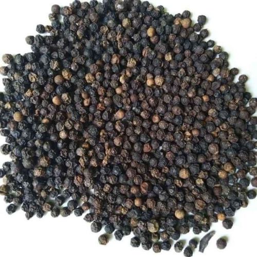 Black Pepper Seeds