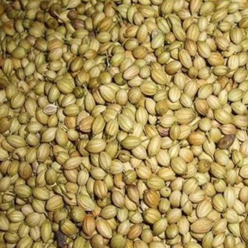 Coriander Seeds