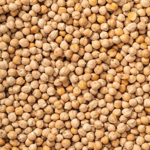 Kabuli Chickpeas