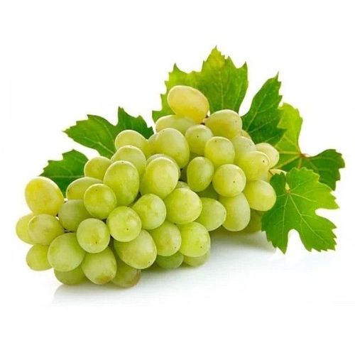 Nashik Fresh Green Seedless Grapes