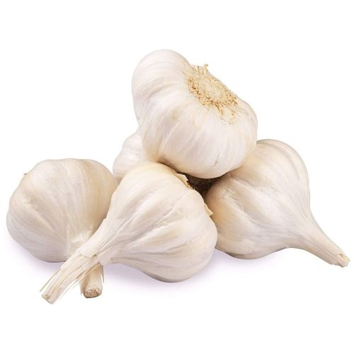 Farm Fresh White Garlic