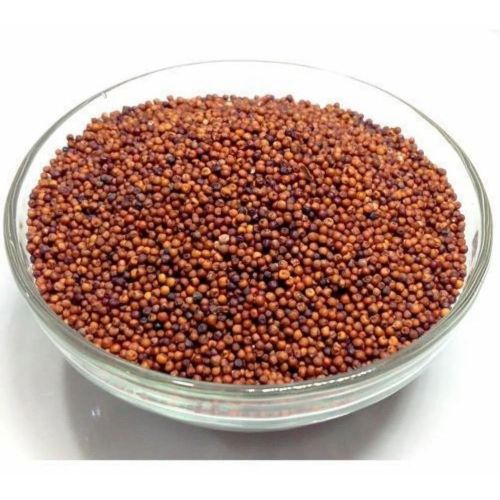 Ragi Finger Millet