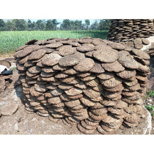 Round Cow Dung Cake