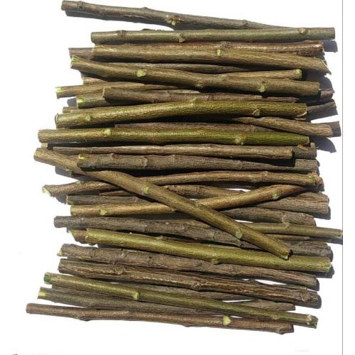 Neem Chew Stick