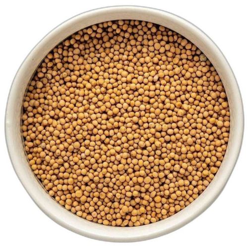 Yellow Mustard Seeds