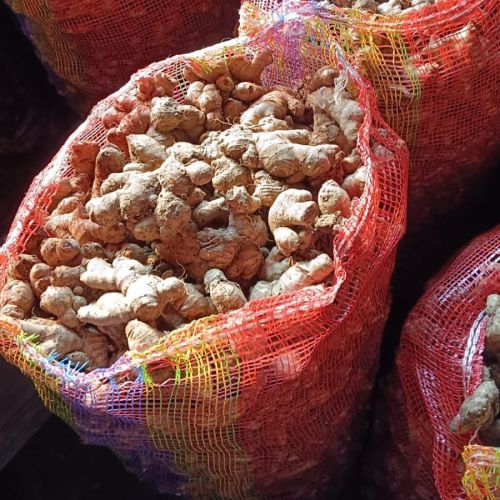 Fresh Raw Ginger