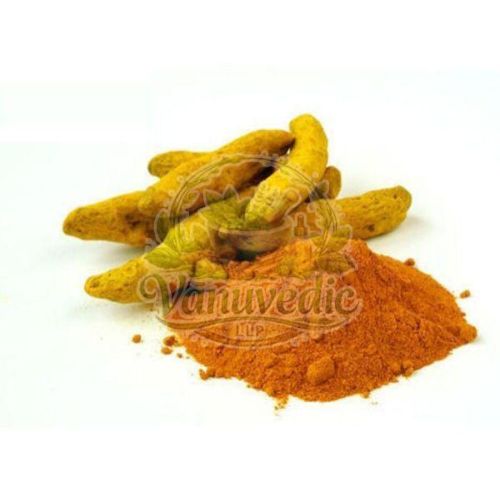 Turmeric Extract Powder