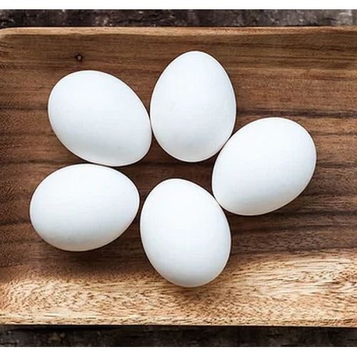 Broiler White Eggs