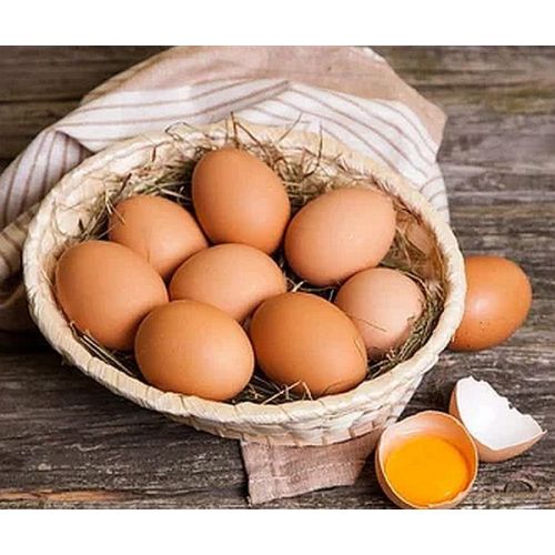 Layer Hen Poultry Eggs