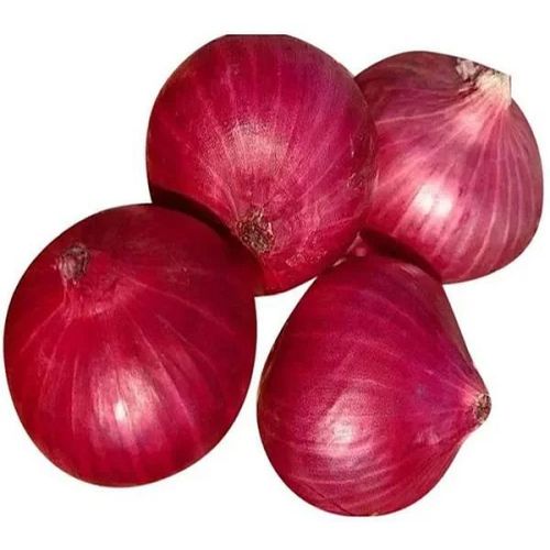Organic Red Onion