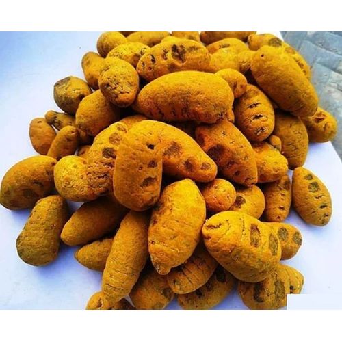 Round Turmeric Bulb