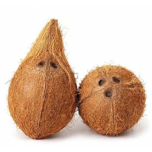Semi Husked Coconut