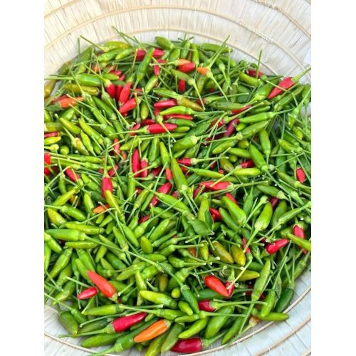 Fresh Birds Eye Chilli