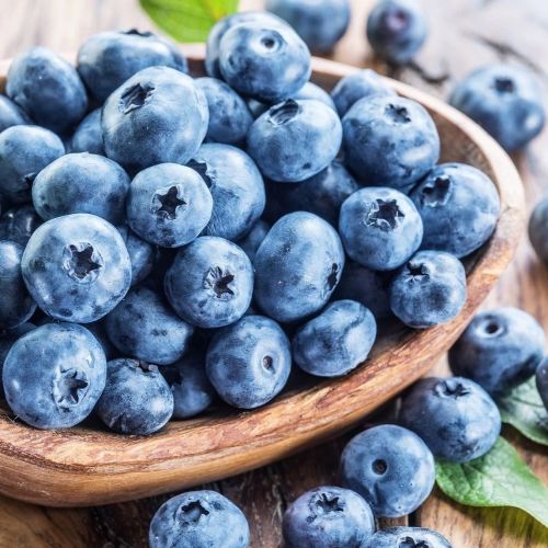 Fresh Blueberries