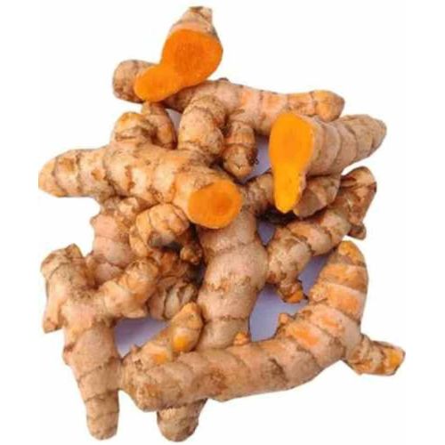 Fresh Turmeric Root
