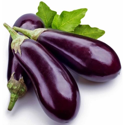 Purple Fresh Brinjal