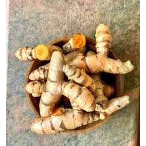 Raw Turmeric