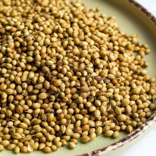 Coriander Seeds