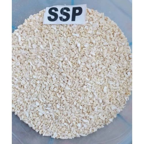 SSP Cashew Nut