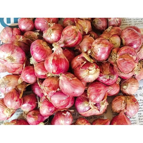 Small Red Onion