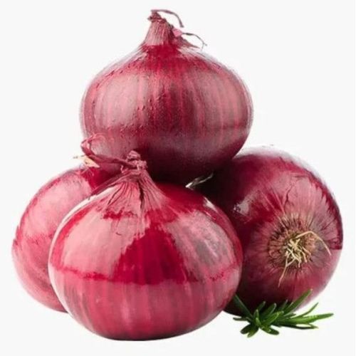 Fresh Red Onion