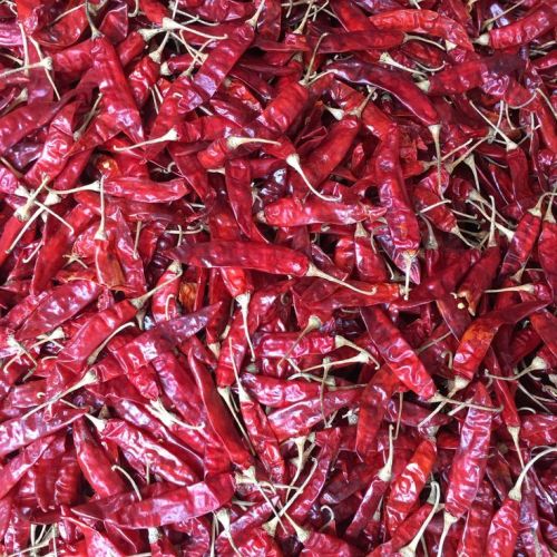 Sannam 334 Dried Red Chilli