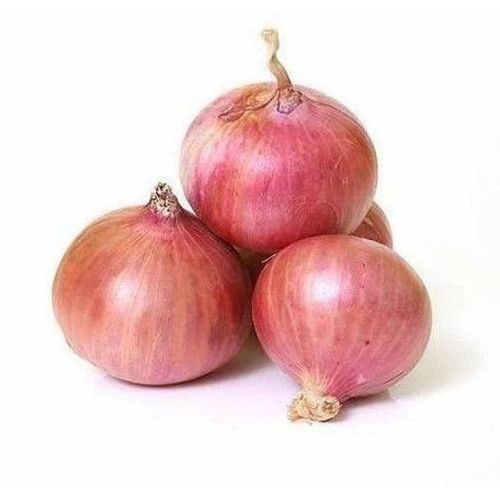 Fresh Pink Onion