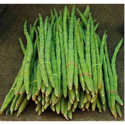 Natural Fresh Drumstick
