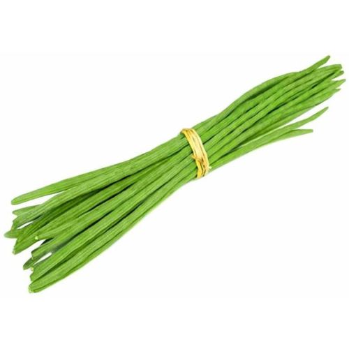 Premium Fresh Drumstick