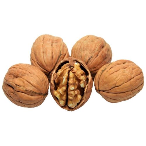 Jumbo Walnut Kernels