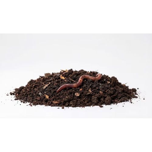 Premium Vermicompost Organic Manure