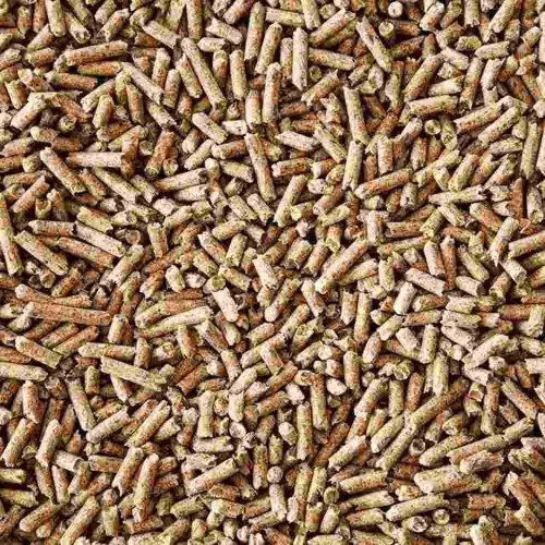 Eco-Friendly Biomass Pellet