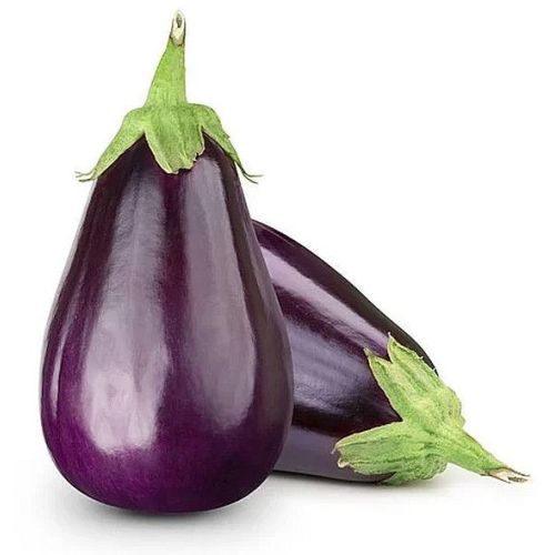 Fresh Brinjal